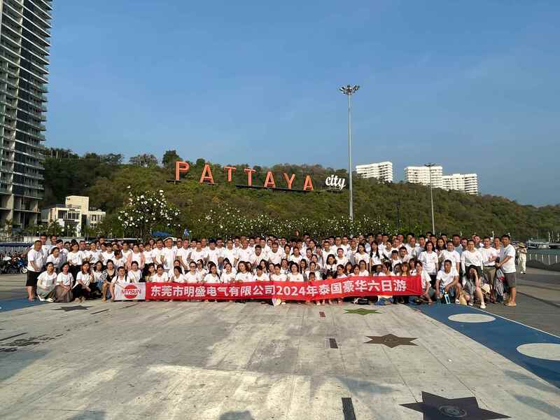 Κίνα Shenzhen Mysun Insulation Materials Co., Ltd. Εταιρικό Προφίλ